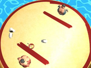 Sumo Challenge 2021 Sports Game