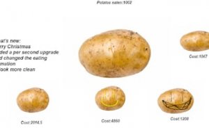 Potato: The Onion Sequel Puzzle Adventure