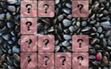 Clam Memory Match - Picture Sliding Puzzle Game