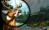 Deer Hunter: Ultimate Hunting Adventure Online Game