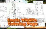 Exotic Wildlife Coloring Game Online - Coloring Game
