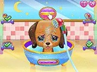 Cute Puppy Care Online Game