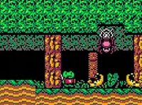 Froggy Knight: Lost in the Forest Online Adventure Game