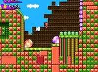 Panic Porcupine Online Game